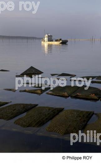 Bassin d' Arcachon - Gironde (33F13815.jpg)
