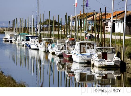 Bassin d' Arcachon - Gironde (33F13923.jpg)