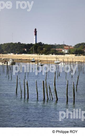 Bassin d' Arcachon - Gironde (33F14034.jpg)