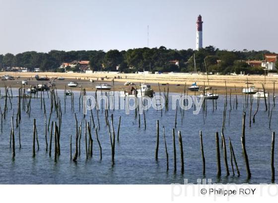 Bassin d' Arcachon - Gironde (33F14036.jpg)