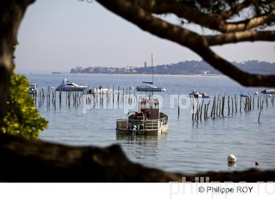Bassin d' Arcachon - Gironde (33F14102.jpg)
