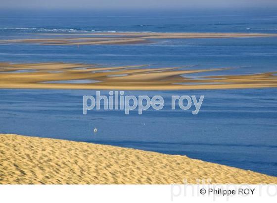 Bassin d' Arcachon - Gironde (33F14438.jpg)
