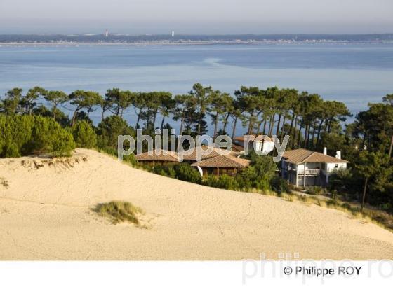 Bassin d' Arcachon - Gironde (33F14502.jpg)