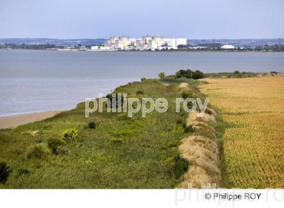Estuaire - Gironde (33F14812.jpg)