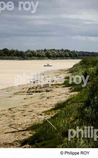 Estuaire - Gironde (33F15007.jpg)