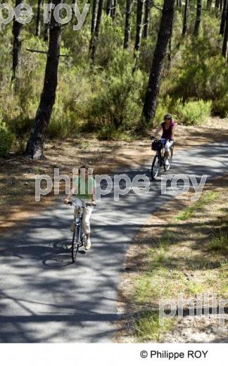 Cyclotourisme - Gironde (33F15019.jpg)