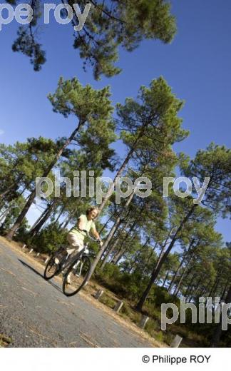 Cyclotourisme - Gironde (33F15029.jpg)