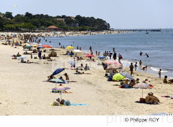 Bassin d'Arcachon - Gironde (33F15134.jpg)