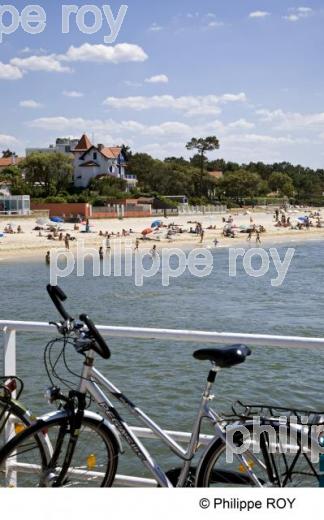 Bassin d'Arcachon - Gironde (33F15212.jpg)