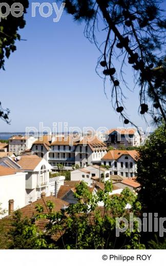 Bassin d'Arcachon - Gironde (33F15227.jpg)