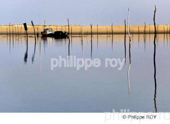 Bassin d' Arcachon - Gironde (33F15406.jpg)