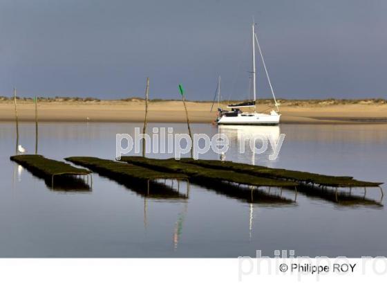 Bassin d' Arcachon - Gironde (33F15420.jpg)