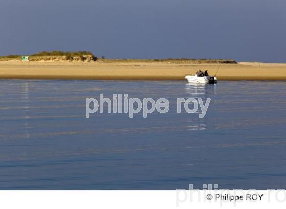 Bassin d' Arcachon - Gironde (33F15421.jpg)