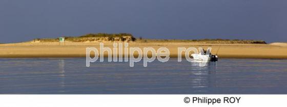 Bassin d' Arcachon - Gironde (33F15422.jpg)