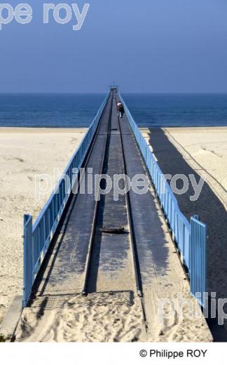 Bassin d' Arcachon - Gironde (33F15424.jpg)