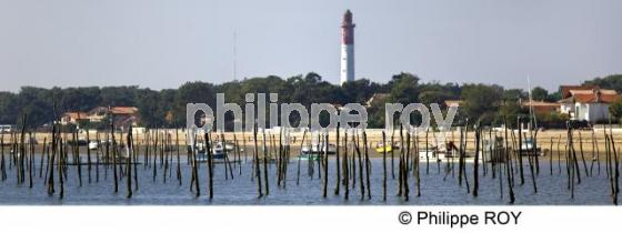 Bassin d' Arcachon - Gironde (33F15435.jpg)