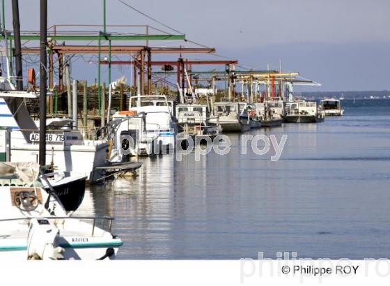 Bassin d' Arcachon - Gironde (33F15512.jpg)