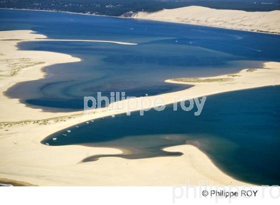 Bassin d' Arcachon - Gironde (33F15602.jpg)