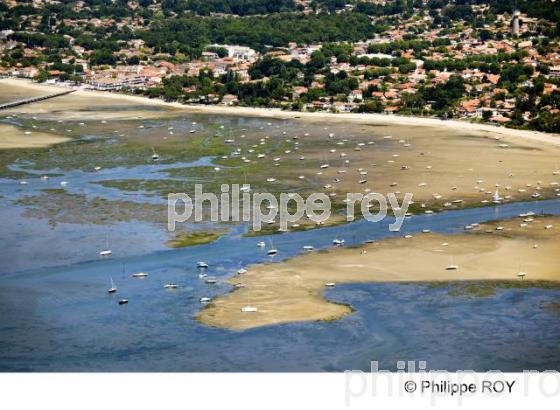 Bassin d' Arcachon - Gironde (33F15619.jpg)