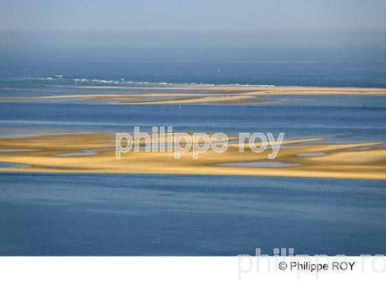 Bassin d' Arcachon - Gironde (33F15625.jpg)