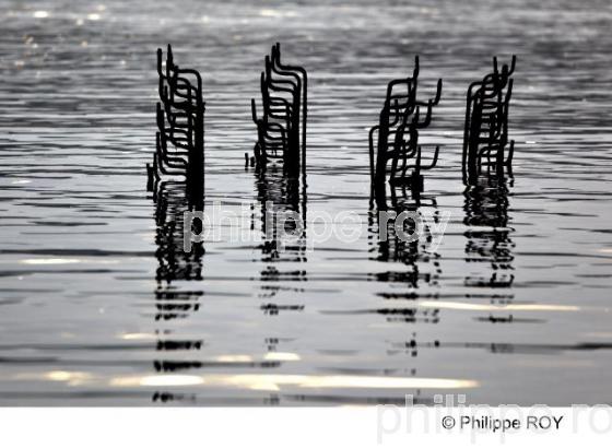 Bassin d' Arcachon - Gironde (33F15710.jpg)