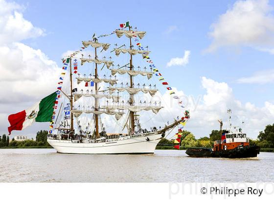 VOILIER MEXICAIN LE CUAUHTEMOC AU PORT DE BORDEAUX (33F16702.jpg)