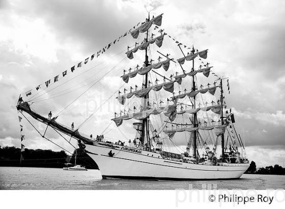VOILIER MEXICAIN LE CUAUHTEMOC AU PORT DE BORDEAUX (33F16703.jpg)