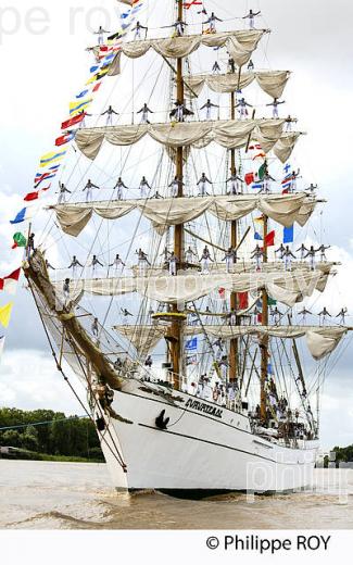 VOILIER MEXICAIN LE CUAUHTEMOC AU PORT DE BORDEAUX (33F16708.jpg)