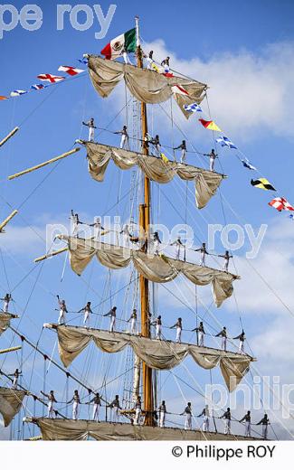 VOILIER MEXICAIN LE CUAUHTEMOC AU PORT DE BORDEAUX (33F16715.jpg)