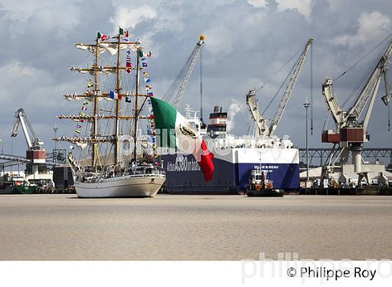 VOILIER MEXICAIN LE CUAUHTEMOC AU PORT DE BORDEAUX (33F16726.jpg)