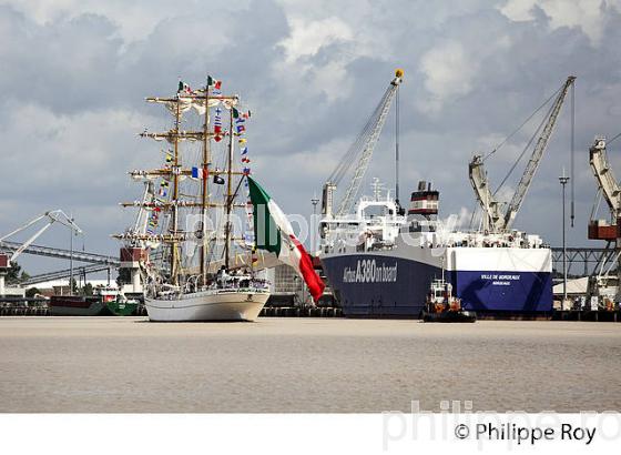 VOILIER MEXICAIN LE CUAUHTEMOC AU PORT DE BORDEAUX (33F16727.jpg)