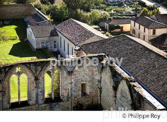 ABBAYE DE LA SAUVE MAJEURE, ST JACQUES DE COMPOSTELLE. (33F17037.jpg)