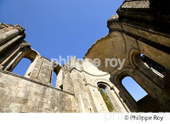 ABBAYE DE LA SAUVE MAJEURE, ST JACQUES DE COMPOSTELLE. (33F17219.jpg)