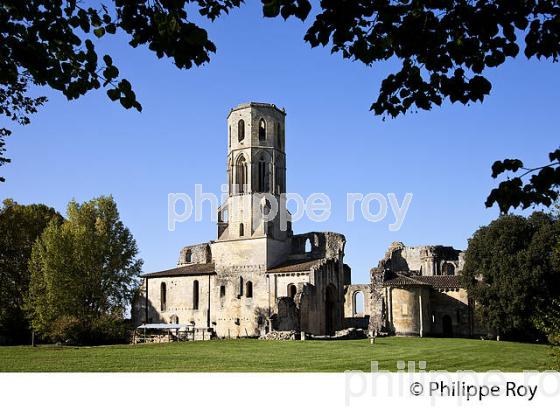 ABBAYE DE LA SAUVE MAJEURE, ST JACQUES DE COMPOSTELLE. (33F17220.jpg)