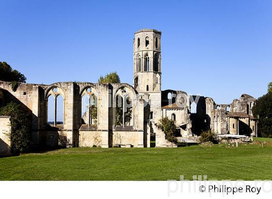 ABBAYE DE LA SAUVE MAJEURE, ST JACQUES DE COMPOSTELLE. (33F17221.jpg)