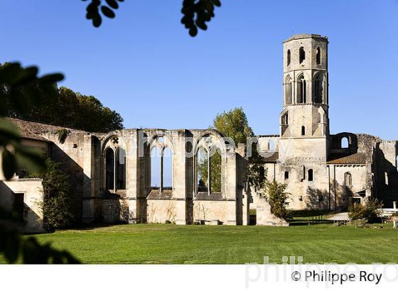 ABBAYE DE LA SAUVE MAJEURE, ST JACQUES DE COMPOSTELLE. (33F17222.jpg)