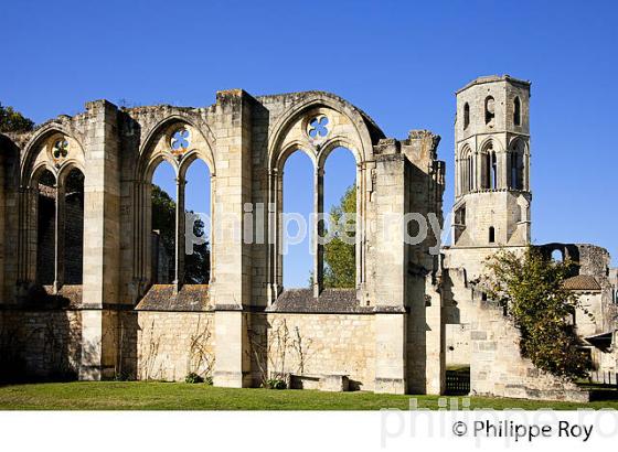 ABBAYE DE LA SAUVE MAJEURE, ST JACQUES DE COMPOSTELLE. (33F17224.jpg)