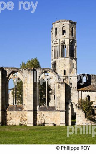 ABBAYE DE LA SAUVE MAJEURE, ST JACQUES DE COMPOSTELLE. (33F17226.jpg)