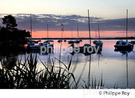 LAC DE LACANAU, MEDOC, COTE ATLANTIQUE. (33F17302.jpg)