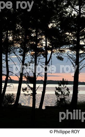 LAC DE LACANAU, MEDOC, COTE ATLANTIQUE. (33F17305.jpg)