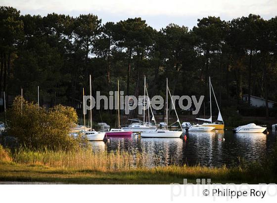 LAC DE LACANAU, MEDOC, COTE ATLANTIQUE. (33F17309.jpg)