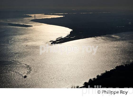 ESTUAIRE DE LA  GIRONDE, MEDOC. (33F17336.jpg)