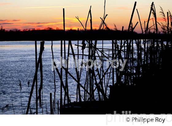 LEVER DU JOUR SUR L' ESTUAIRE DE LA GIRONDE, ET L' ILE MARGAUX,  MEDOC, AQUITAINE. (33F17502.jpg)