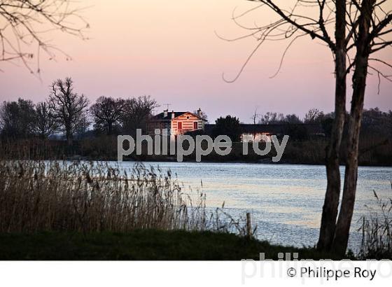 LEVER DU JOUR SUR L' ESTUAIRE DE LA GIRONDE, ET L' ILE MARGAUX,  MEDOC, AQUITAINE. (33F17508.jpg)