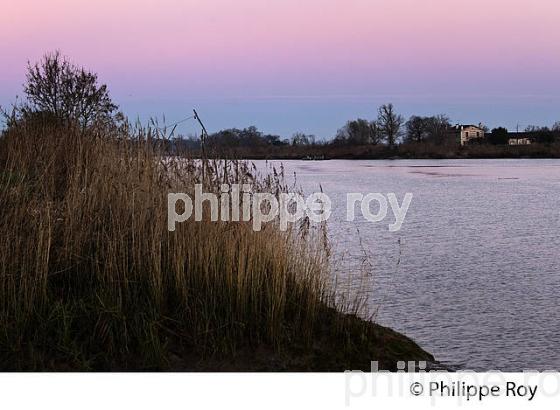 LEVER DU JOUR SUR L' ESTUAIRE DE LA GIRONDE, ET L' ILE MARGAUX,  MEDOC, AQUITAINE. (33F17511.jpg)