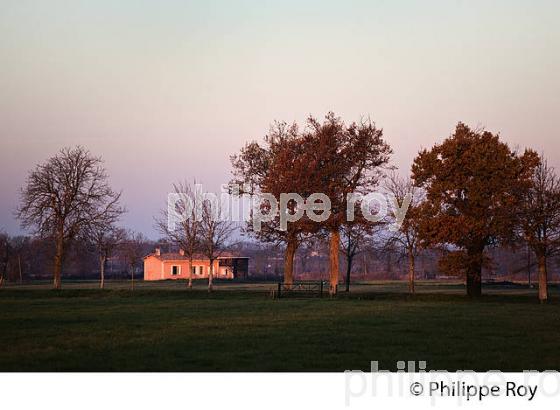 LEVER DU JOUR SUR L' ESTUAIRE DE LA GIRONDE,  MEDOC, AQUITAINE. (33F17512.jpg)