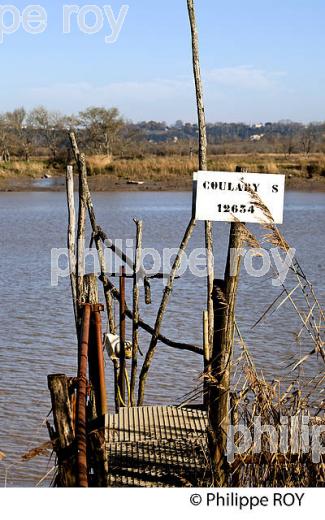 BERGE DE  L' ESTUAIRE DE LA GIRONDE A MAREE BASSE, MEDOC, AQUITAINE. (33F17517.jpg)