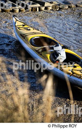 SORTIE EN KAYAK DE MER SUR  L' ESTUAIRE DE LA GIRONDE, MEDOC, AQUITAINE. (33F17519.jpg)
