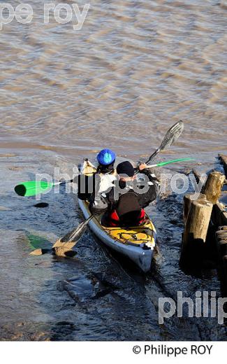 SORTIE EN KAYAK DE MER SUR  L' ESTUAIRE DE LA GIRONDE, MEDOC, AQUITAINE. (33F17520.jpg)