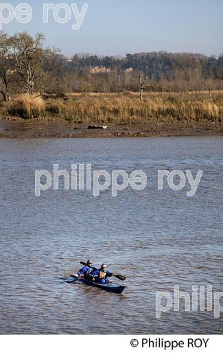 SORTIE EN KAYAK DE MER SUR  L' ESTUAIRE DE LA GIRONDE, MEDOC, AQUITAINE. (33F17522.jpg)